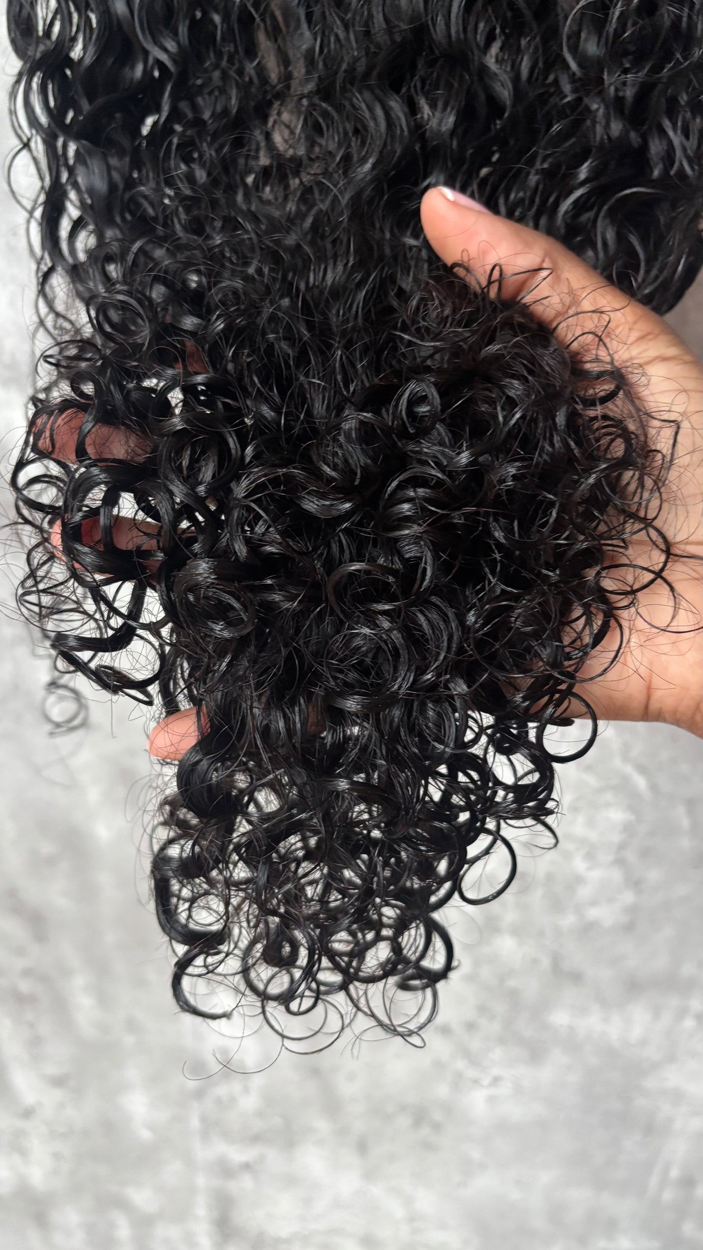 Burmese Curly